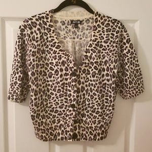 Grey Leopard Shrug